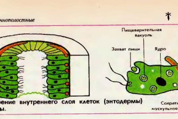 Кракен интернет площадка