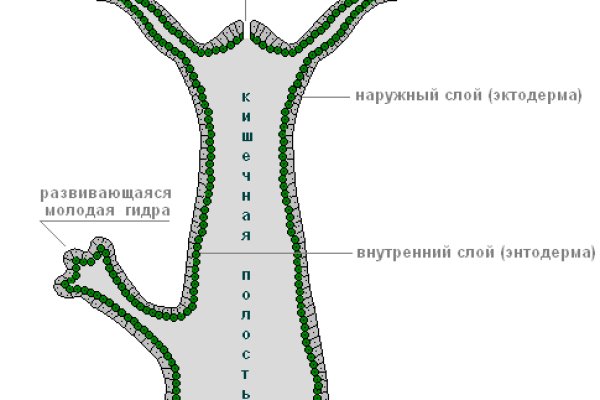 Кракен маркет дарнет только через тор