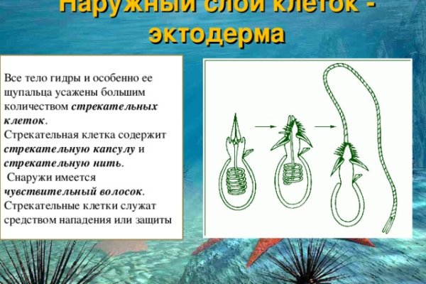Ссылки даркнета