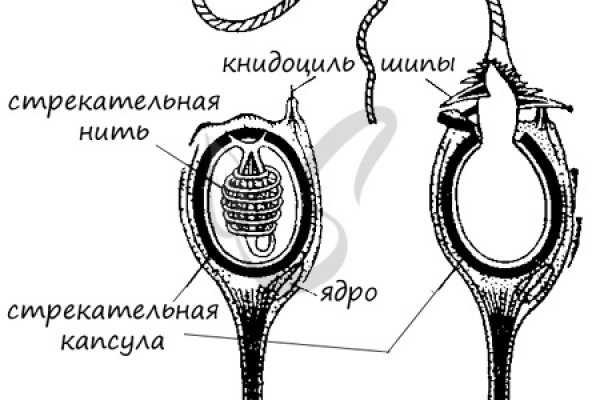 Мега зеркала тор онион мориарти кракен