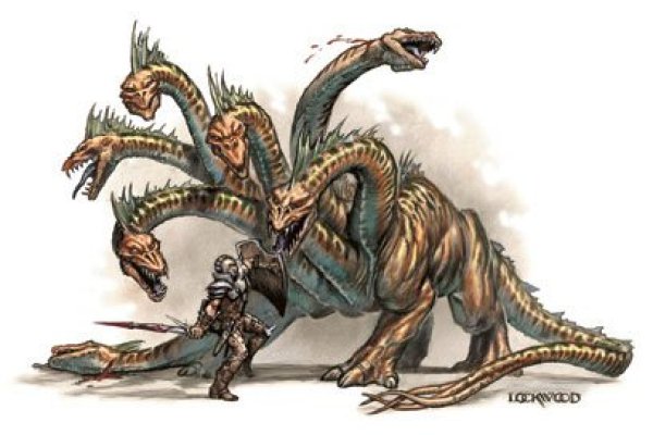Kraken 17 at