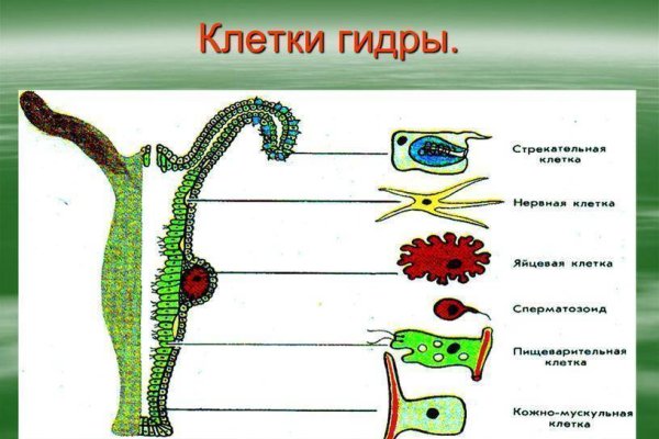 Кракен маркетплейс зеркало krk market com